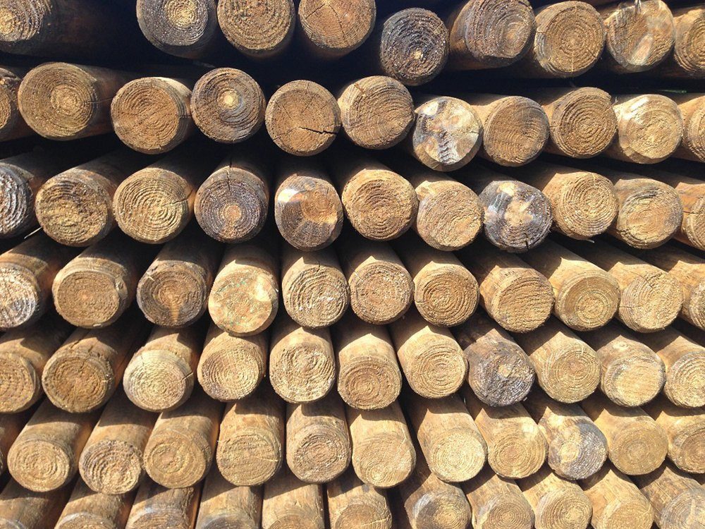 HaGa Zaunpfosten 1Stk HOLZPFAHL 5cm Stärke x 150cm Höhe Pfahl, Baumpfahl Zaunpfahl Zaunbau witterungsbeständig