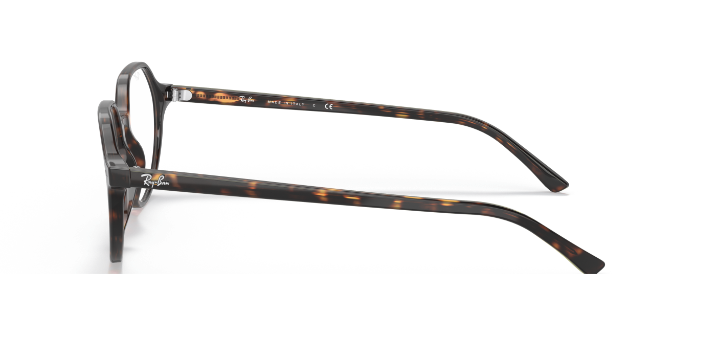 THALIA OPTICS - Havana Gloss