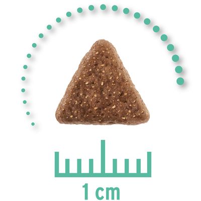 Concept for Life Veterinary Diet Hypoallergenic Insect