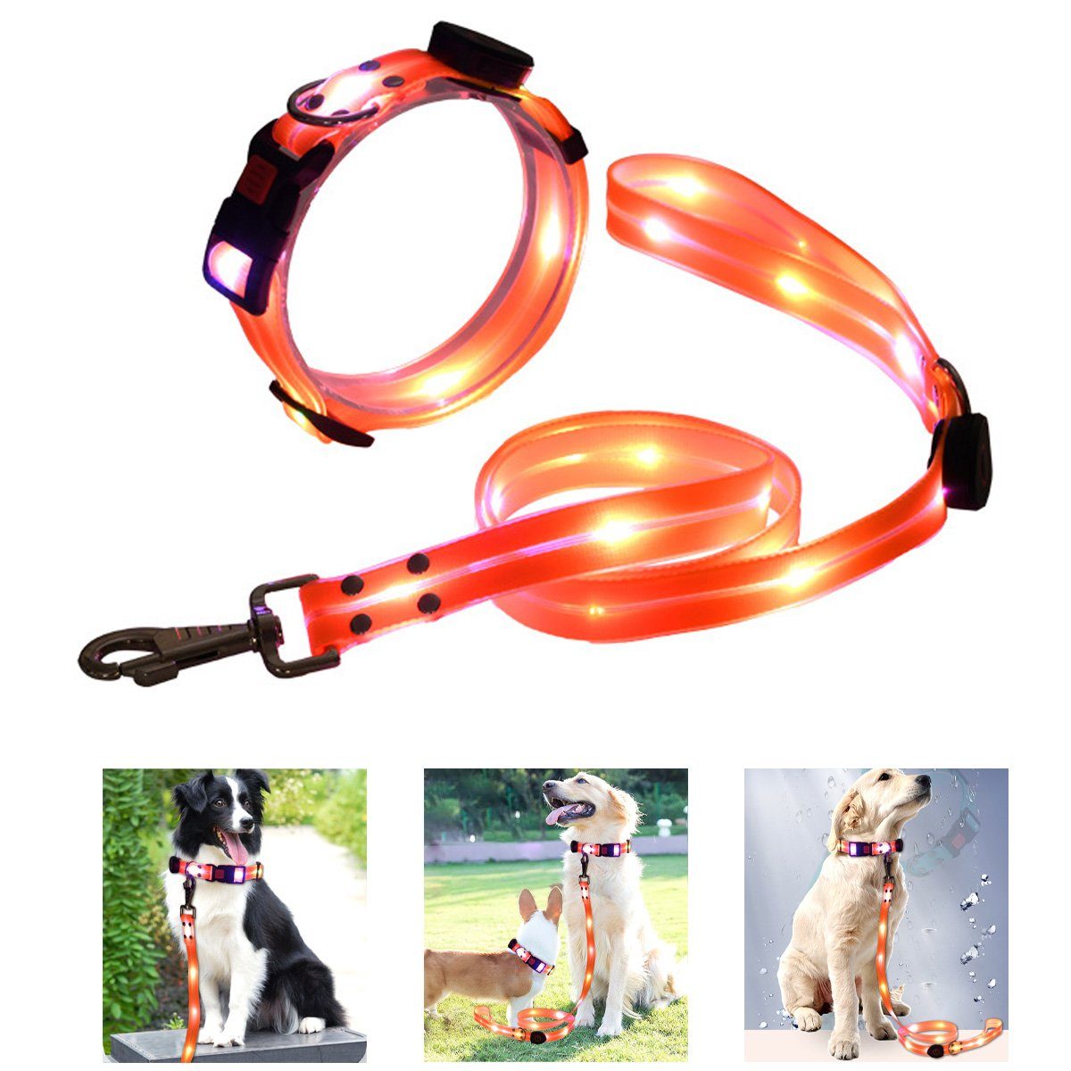 Hikeren Führleine Led-Leine, USB stark und verschleißfest Wasserdichtes Halsband