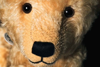 Teddybär 1910 Replica