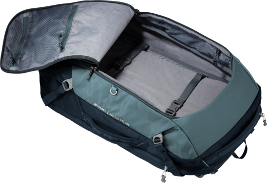 AViANT Access 38