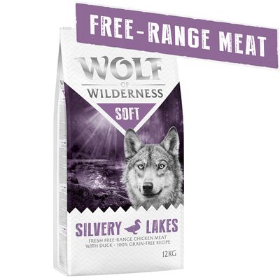 Wolf of Wilderness 