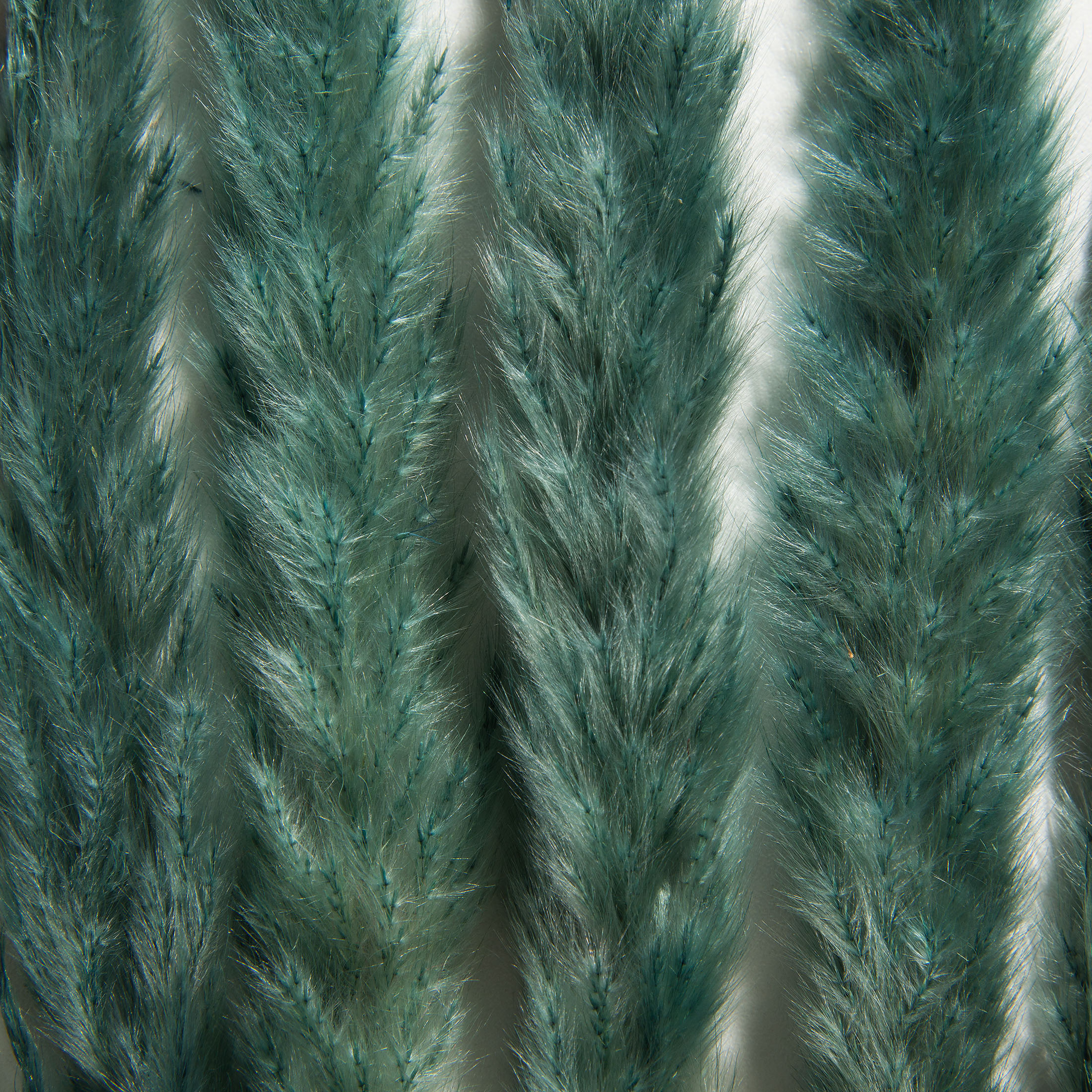 Pampasgrasbündel 6er Trockenblume, Country Blue
