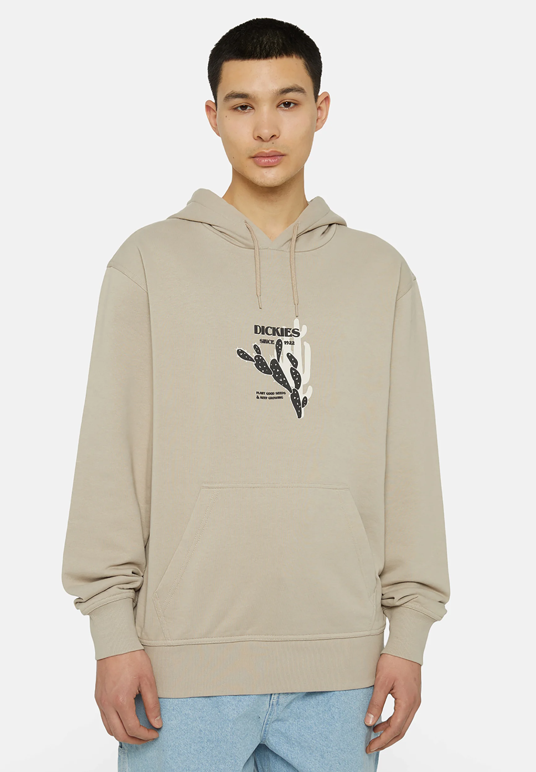 Dickies HERNDON - Sudadera con capucha