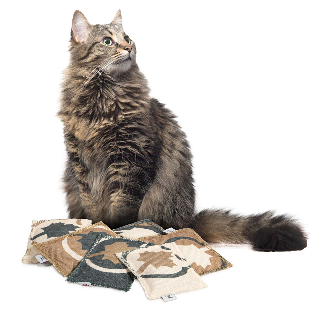 Canadian Cat Company Baldrian & Catnipspielzeug Canadian Cat Company Baldrian & Catnipspielzeug Katzenkissen LOVE, 6er Pack