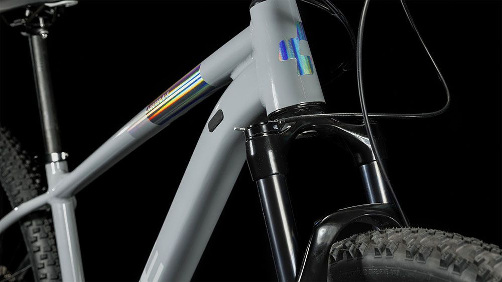Cube Access WS SLX grey´n´silver kaufen | Bike-Discount