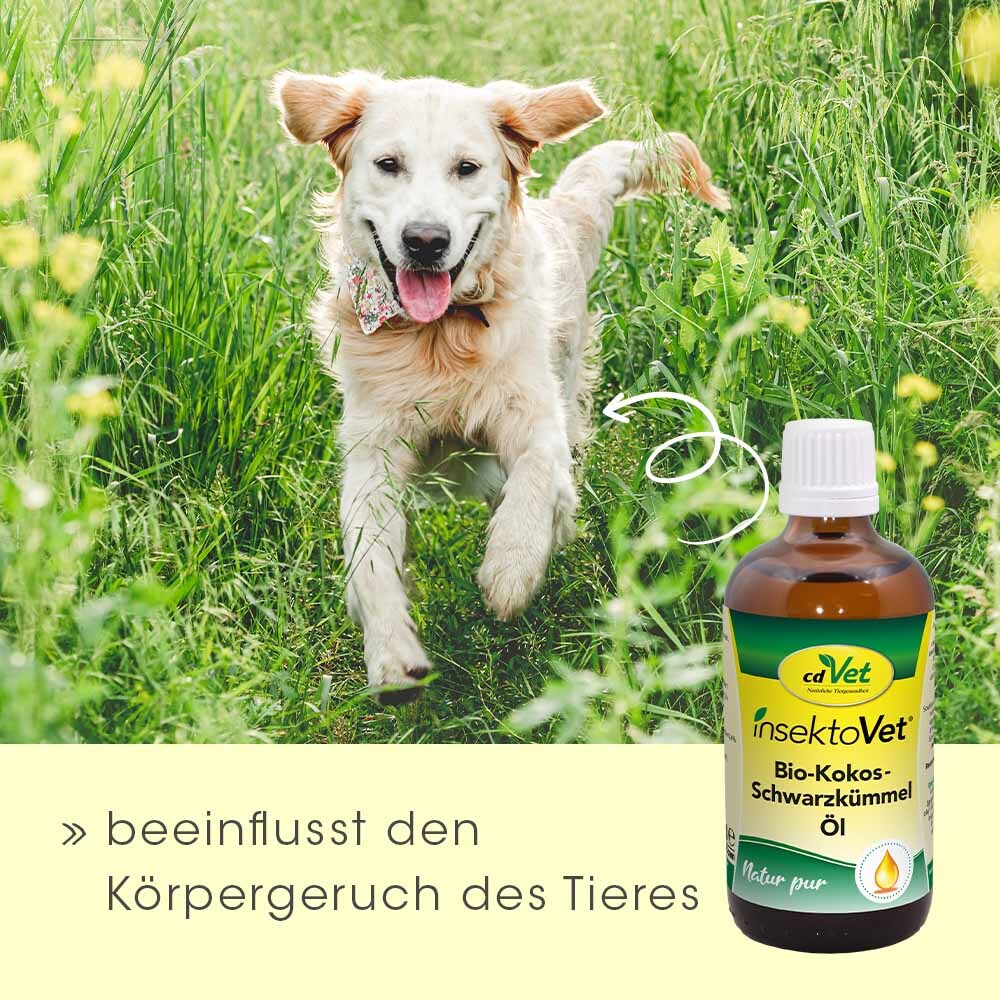 insektoVet Ergänzungsfutter & Aufzucht insektoVet Bio Kokos Schwarzkümmel Öl