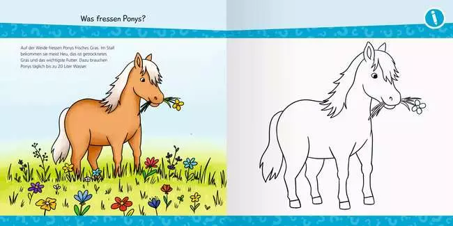 Ravensburger Wieso? Weshalb? Warum? junior AKTIV: Auf dem Ponyhof