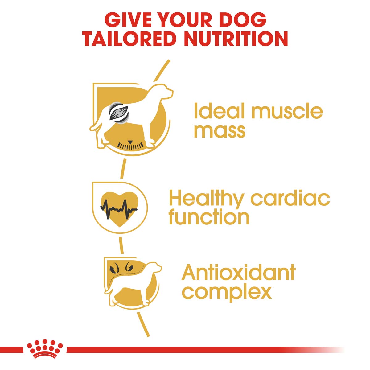 ROYAL CANIN Boxer Adult Hundefutter trocken kaufen bei ZooRoyal