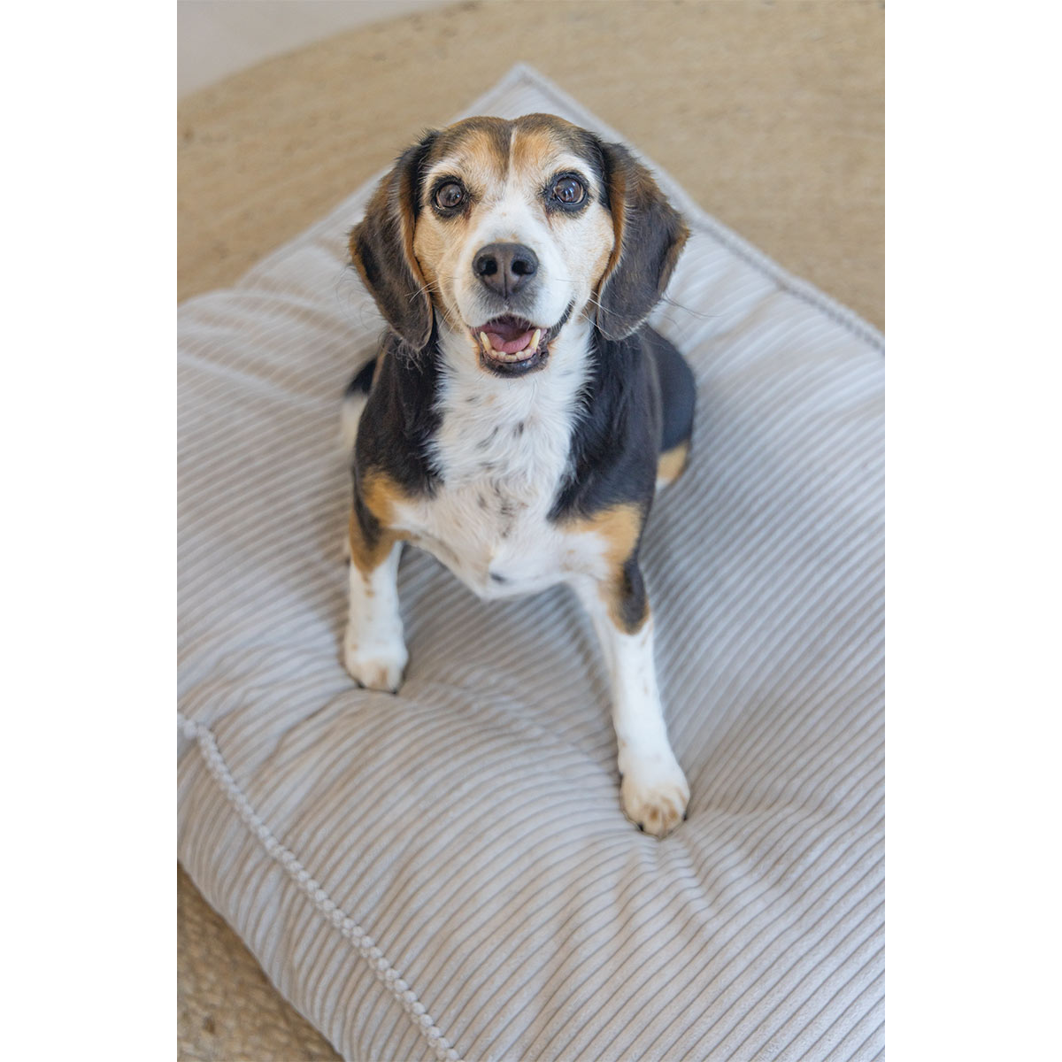Designed by Lotte Hundekissen Ribbed Hellgrau kaufen bei ZooRoyal