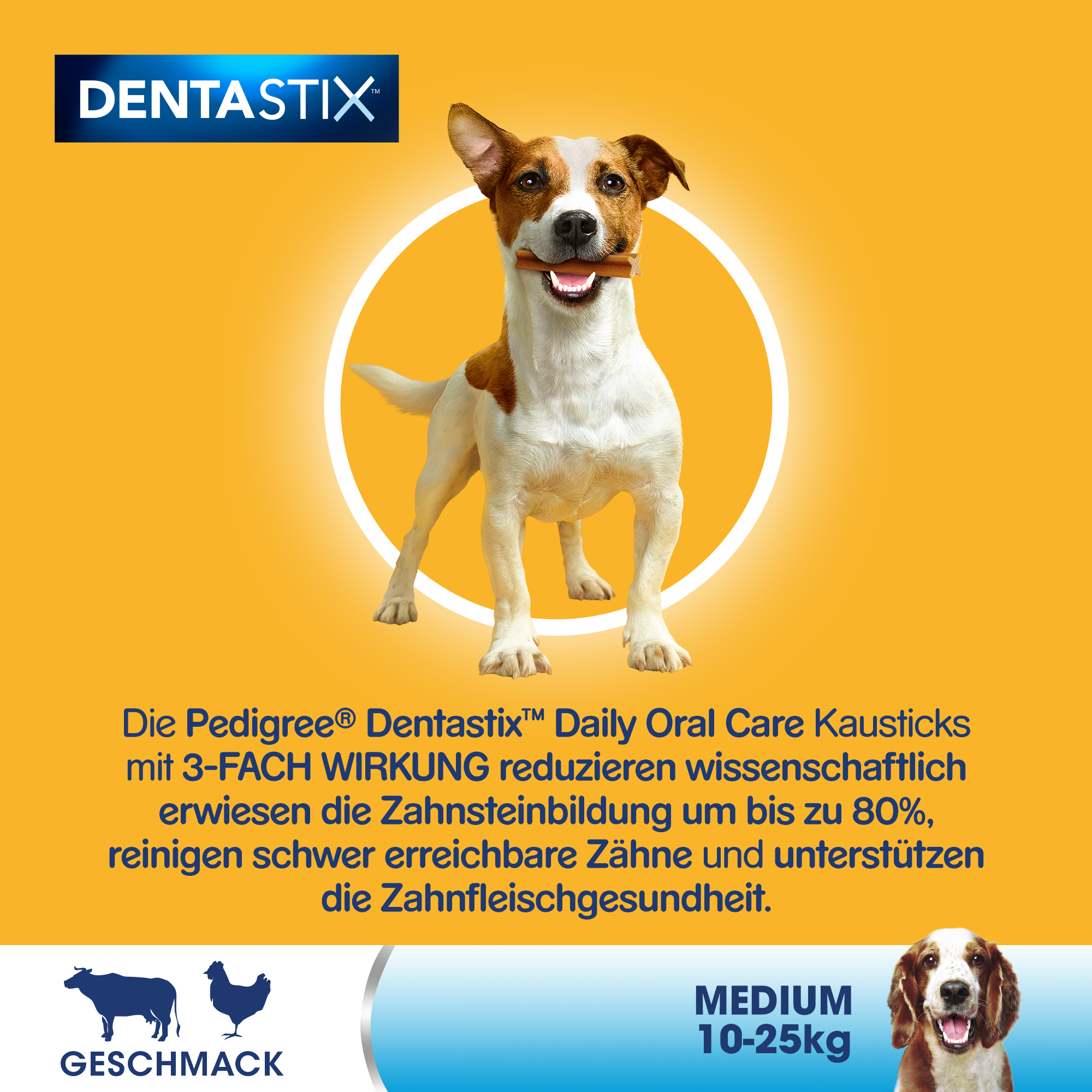 Pedigree Snacks Pedigree Zahnpflege Dentastix Multipack für mittelgroße Hunde 56 Stück