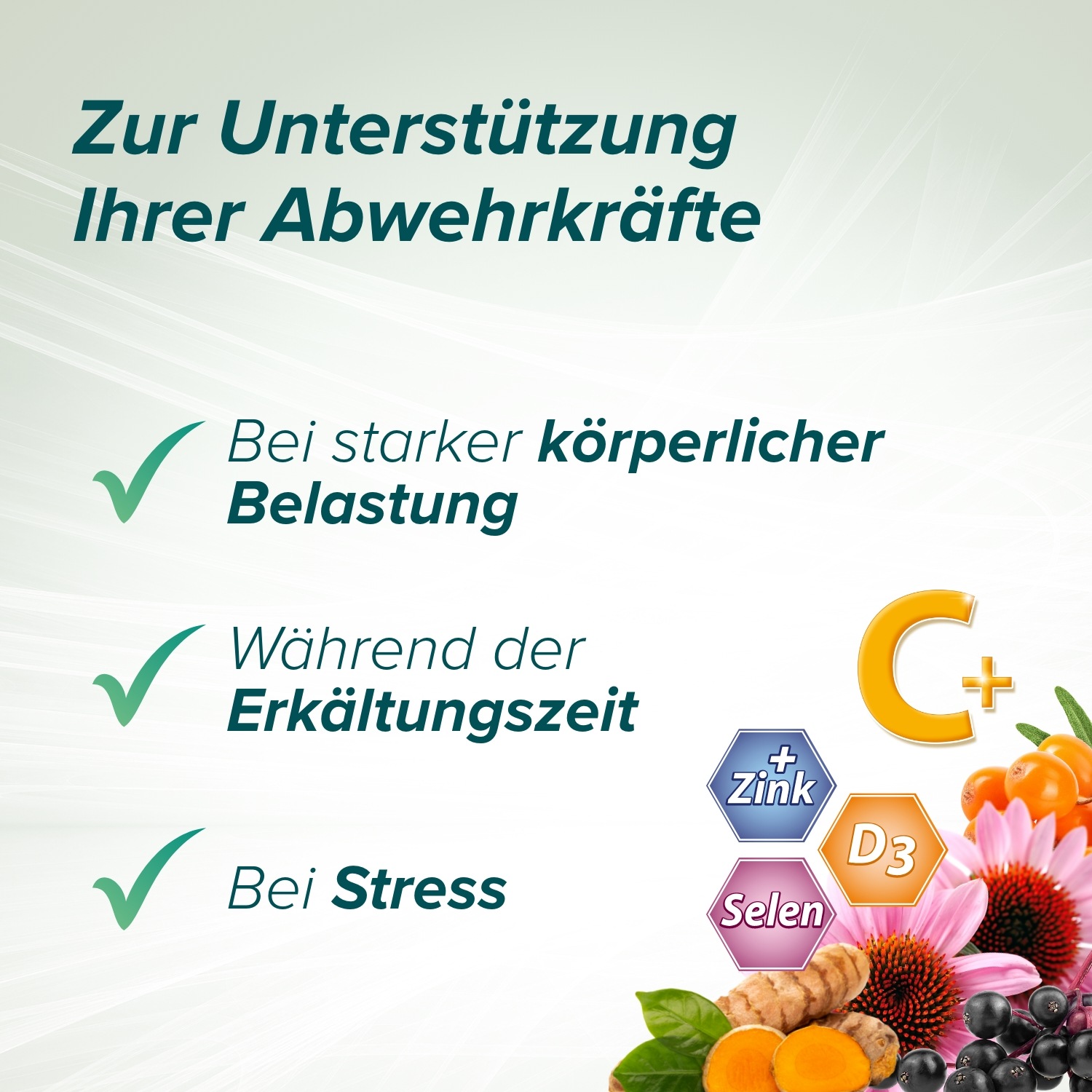 Immun Aktiv Tabletten
