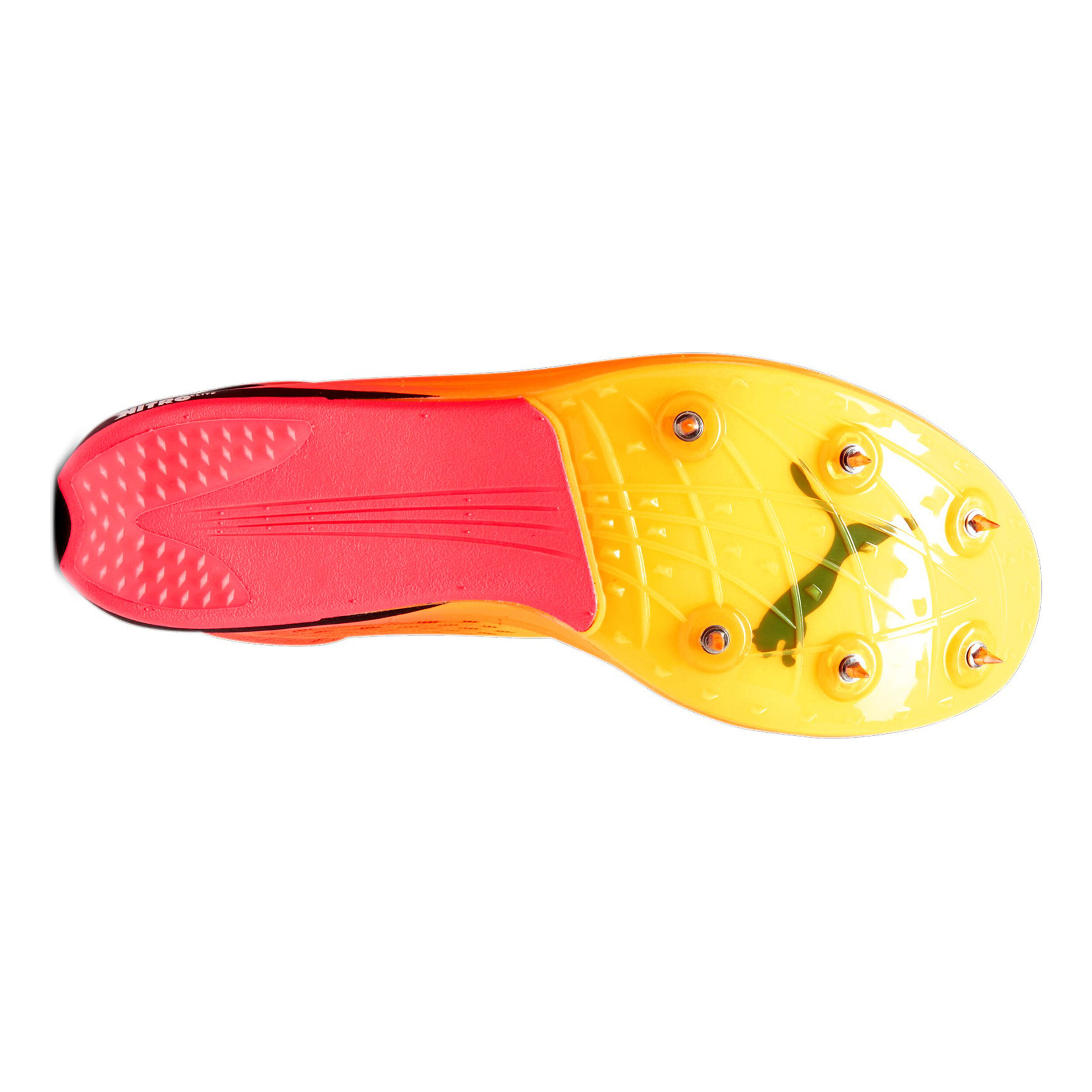 EvoSPEED Long Distance Nitro Elite+ Spikeschuh Herren - Orange, Pink