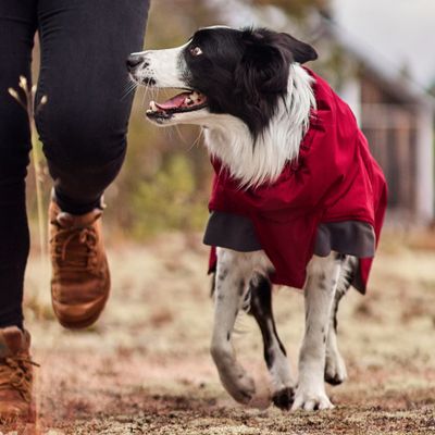 Hurtta Bare Winterjacke Late Harvest