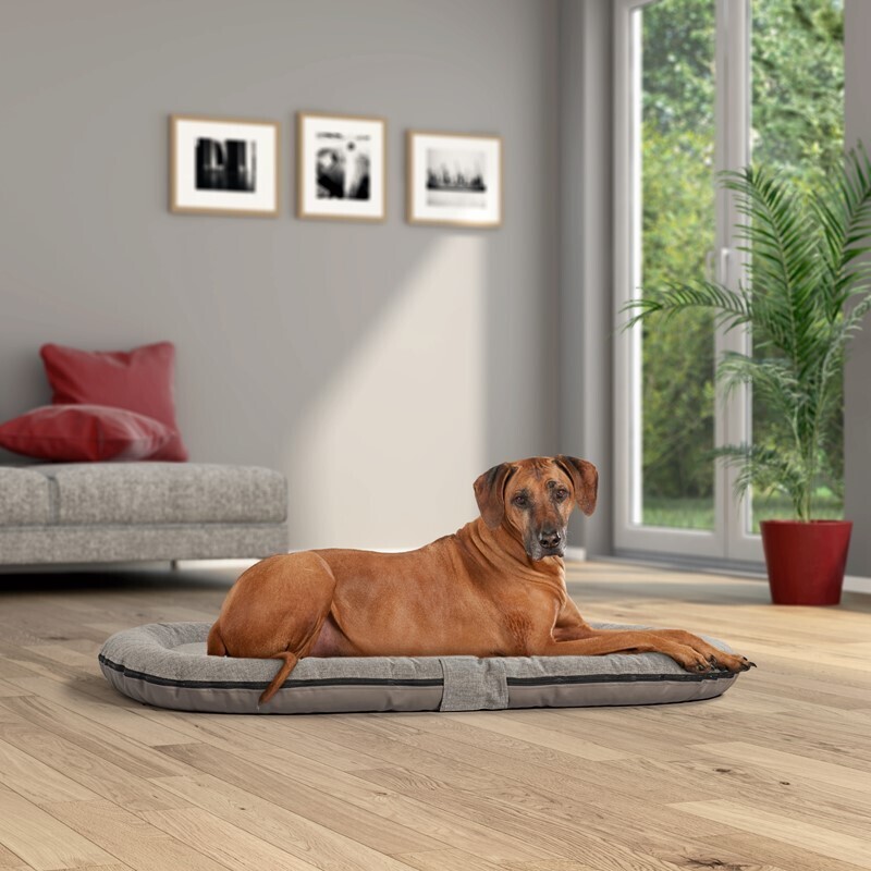 MORE Hundekissen MORE Liegekissen Supreme braun M