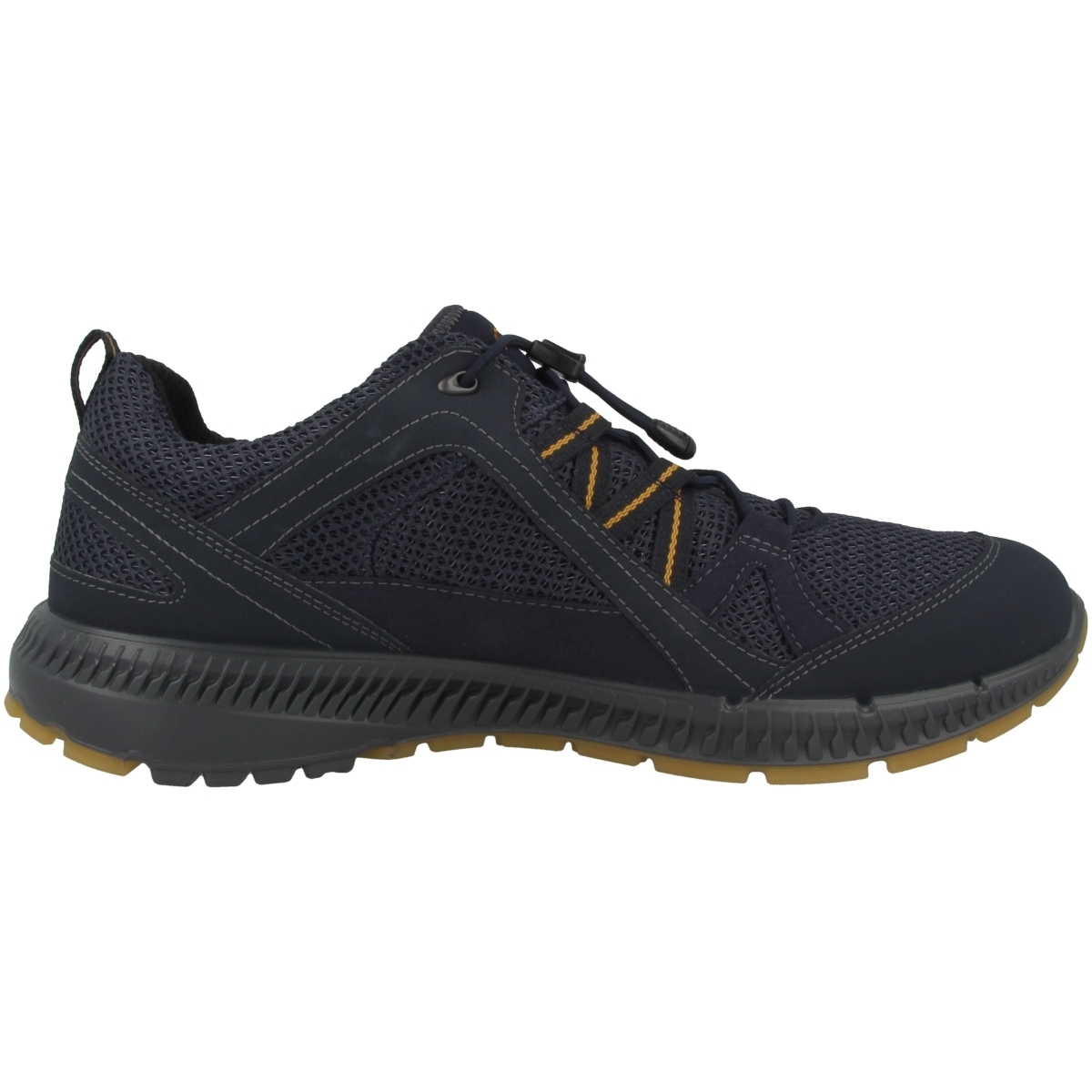 Ecco Terracruise II Outdoorschuhe blau