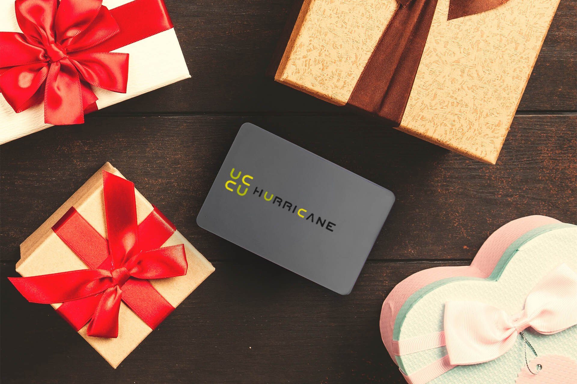 HURRICANE MD25C3 Tragbare Externe Festplatte 500GB 2,5
