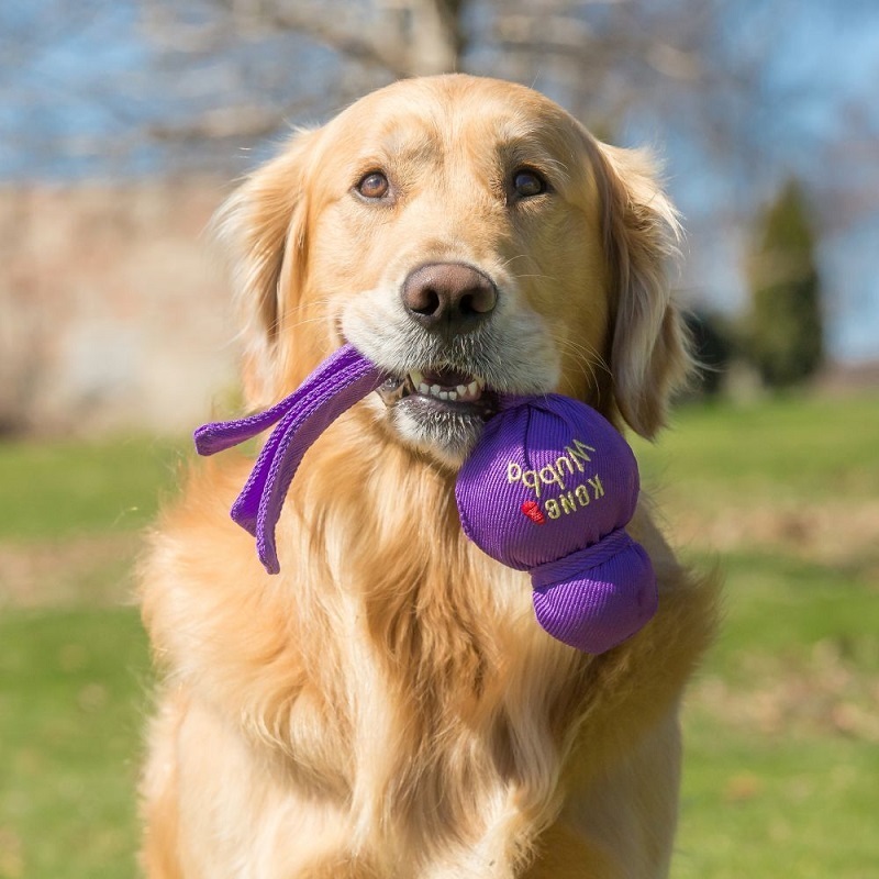 KONG Frisbees & Wurfspielzeug KONG Spielzeug Wubba Assorted L