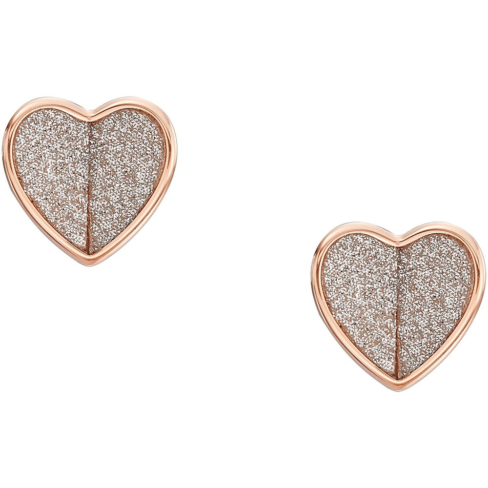 Fossil Boucles d'oreilles à fermoir à poussette Acier inoxydable Boucles d'oreilles