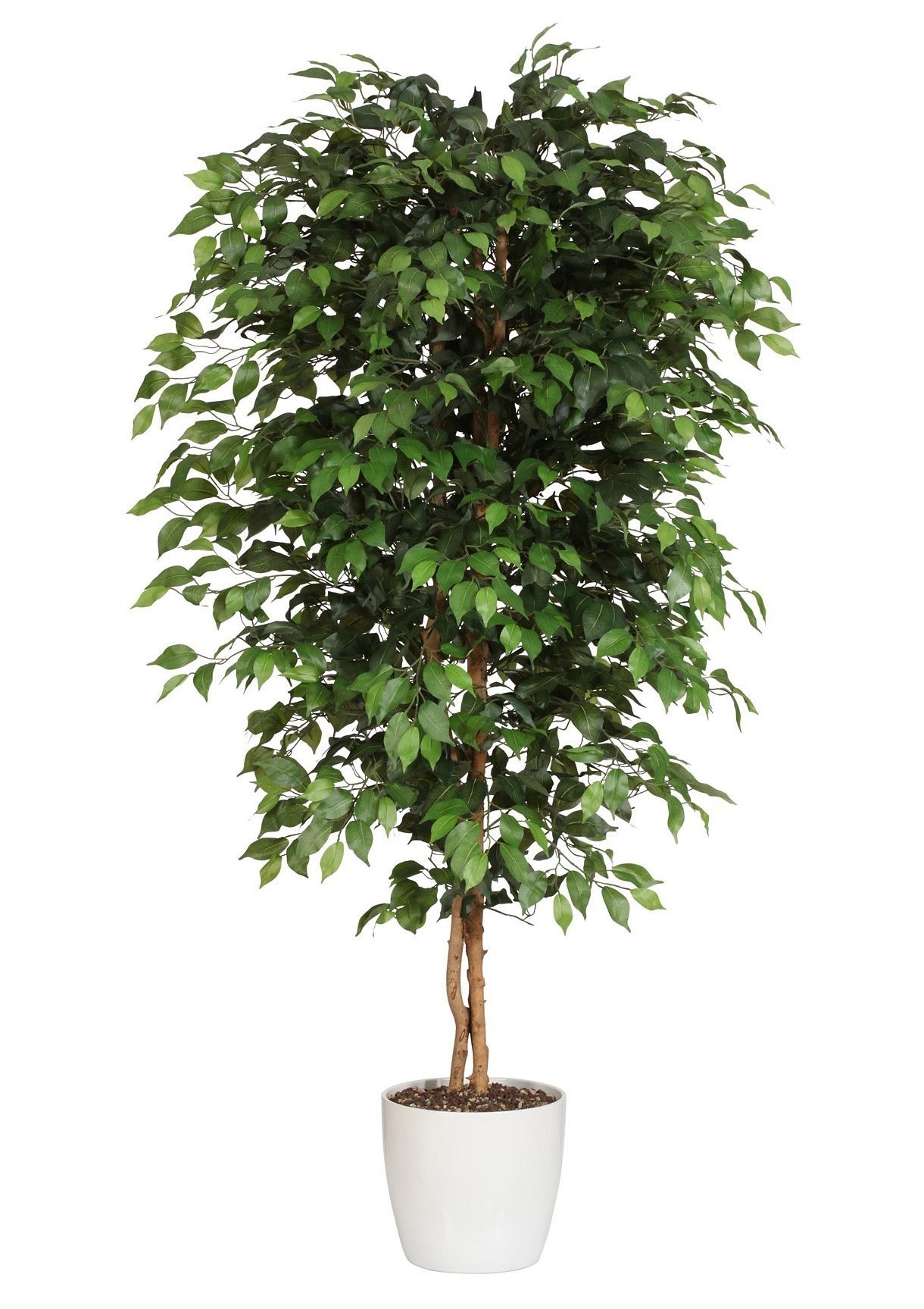Kunstpflanze Ficus Benjamini, Creativ green, Höhe 180 cm