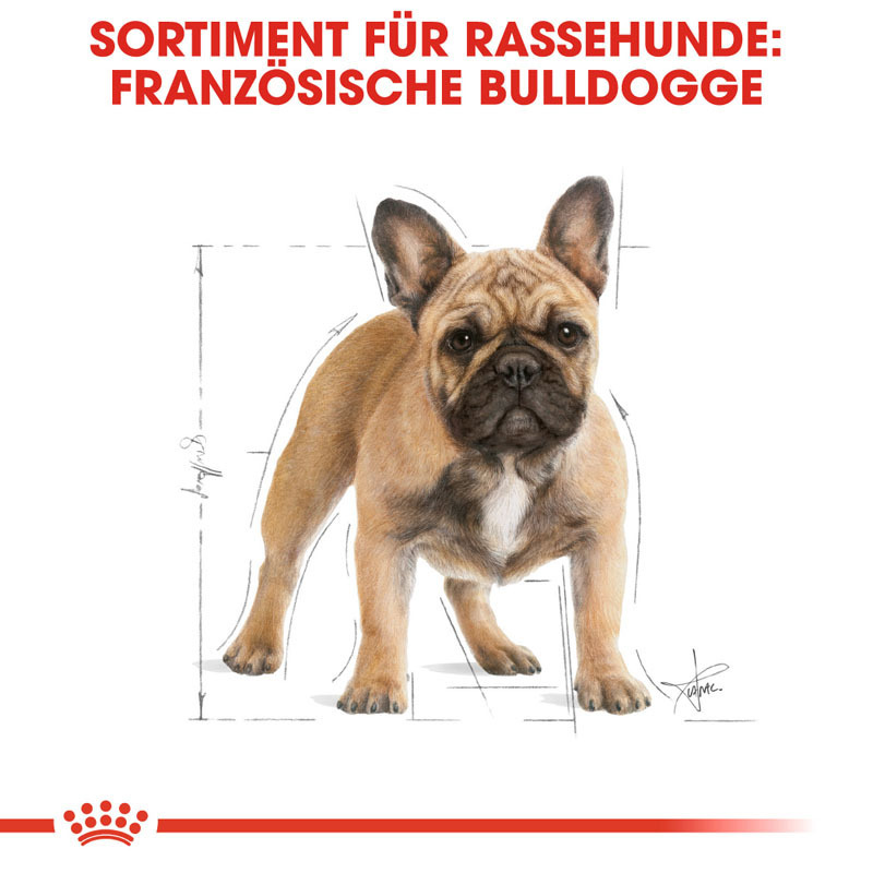 ROYAL CANIN Hundetrockenfutter ROYAL CANIN Französische Bulldogge Adult 2x9 kg
