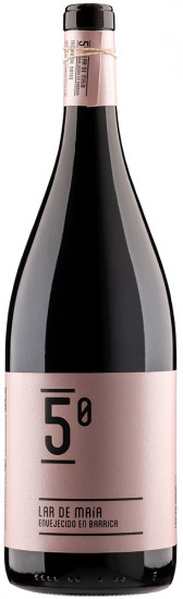 2020 5º Tinto Magnum Castilla y León VT trocken 1,5 L - Bodega Lar de Maía