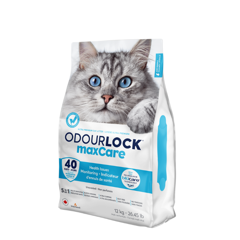 Intersand Katzenstreu Intersand ODOUR LOCK MaxCare Unscented 12kg