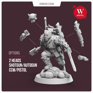 Crimson Legion Shock Squad (5)