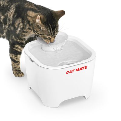 Cat Mate Muschel-Trinkbrunnen
