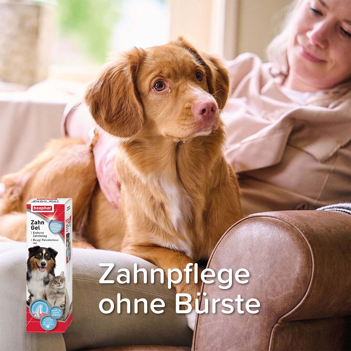beaphar Zahngel für Hunde und Katzen 100g kaufen