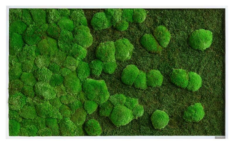 best of GREEN Moos-Wand boGsGMbWKmVL100x60HoWe Grün