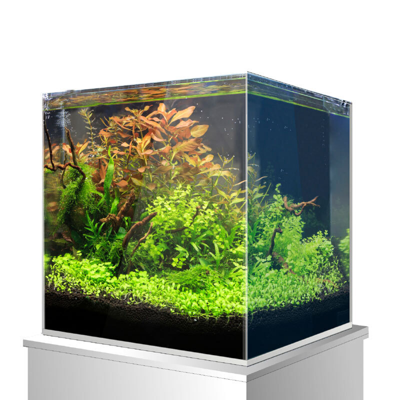Amtra Nano-Aquarien Amtra Nanoscaping Weisglassbecken 27 l
