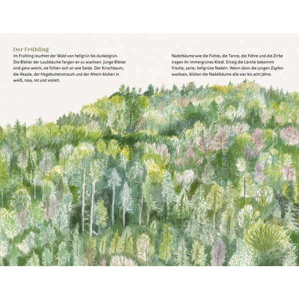Die kleine Waldfibel - Kinderbuch