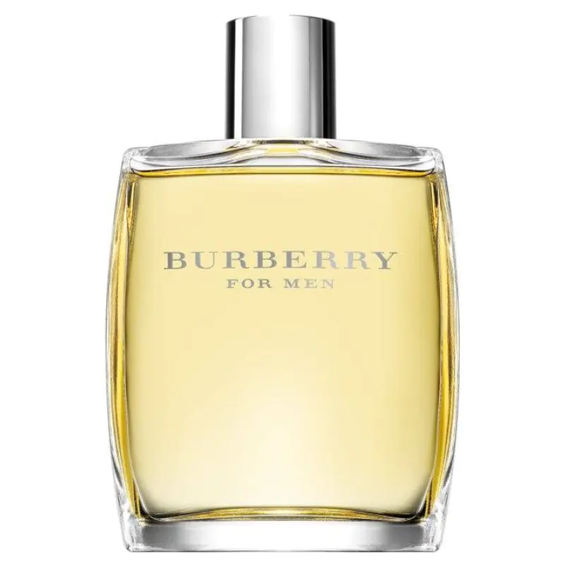 Burberry For Men toaletna voda za muškarce, 100 ml