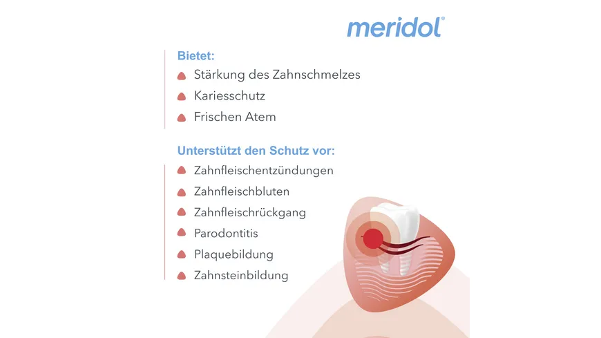 meridol Mundspülung Rundumpflege - antibakteriell, schützt Zahnfleisch, stärkt Zähne, erfrischt Atem 400 ml