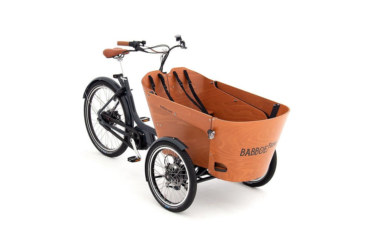 Babboe Flow Mountain - 500 Wh - 2022 - 26 Zoll