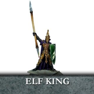 Elf King with Spear