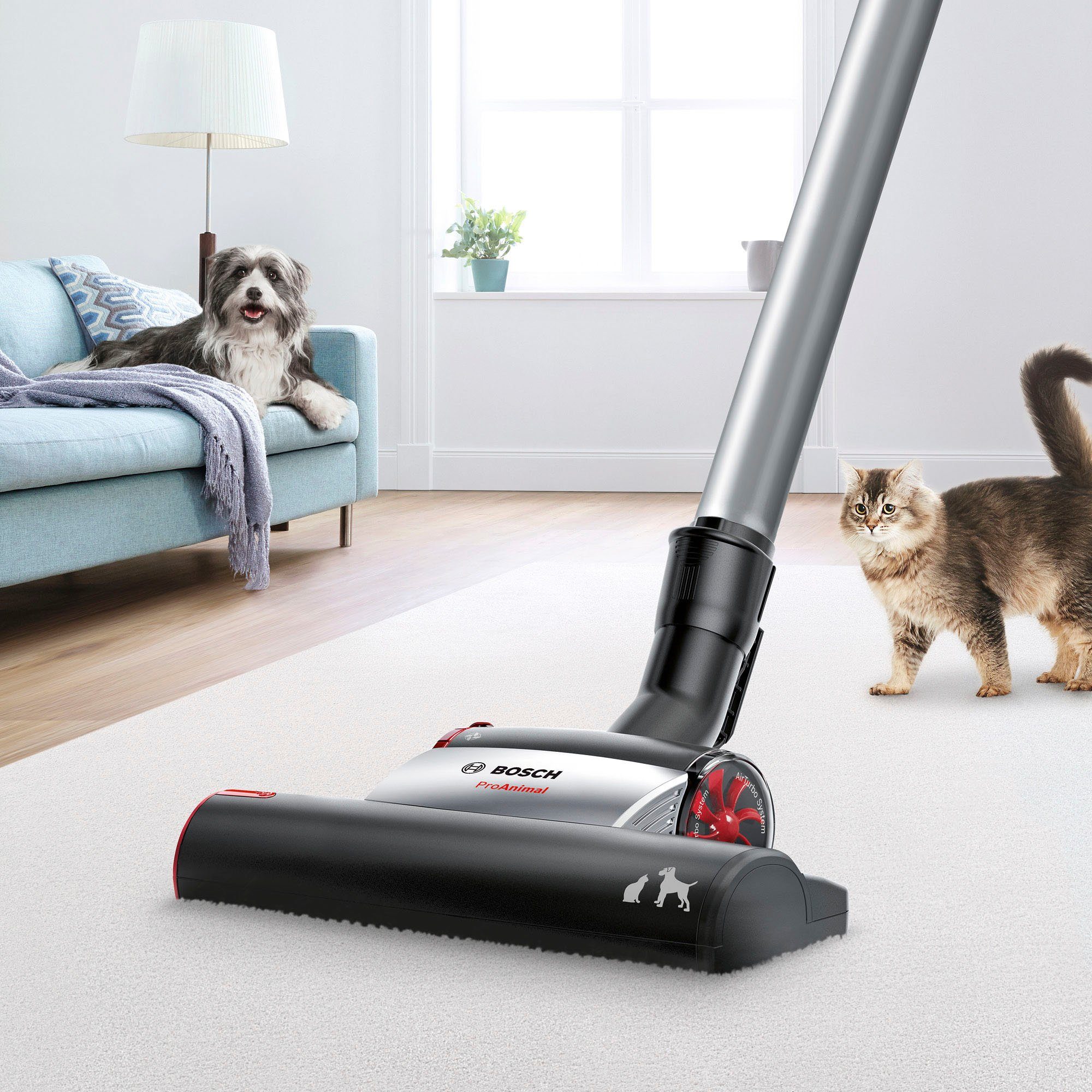 BOSCH Bodenstaubsauger BGC41PET, Ideal für Haustierbesitzer, 750 W, beutellos, inkl. umfangreichen Zubehör und AirTurbo Plus Düse
