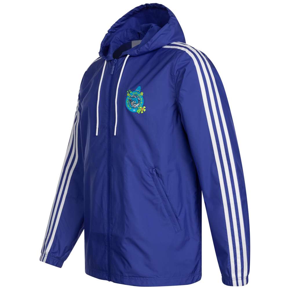 adidas Originals Graphics Stoked Herren Windbreaker HC7194