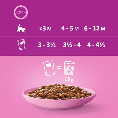 Multipack Whiskas Junior Frischebeutel 12 x 85 g