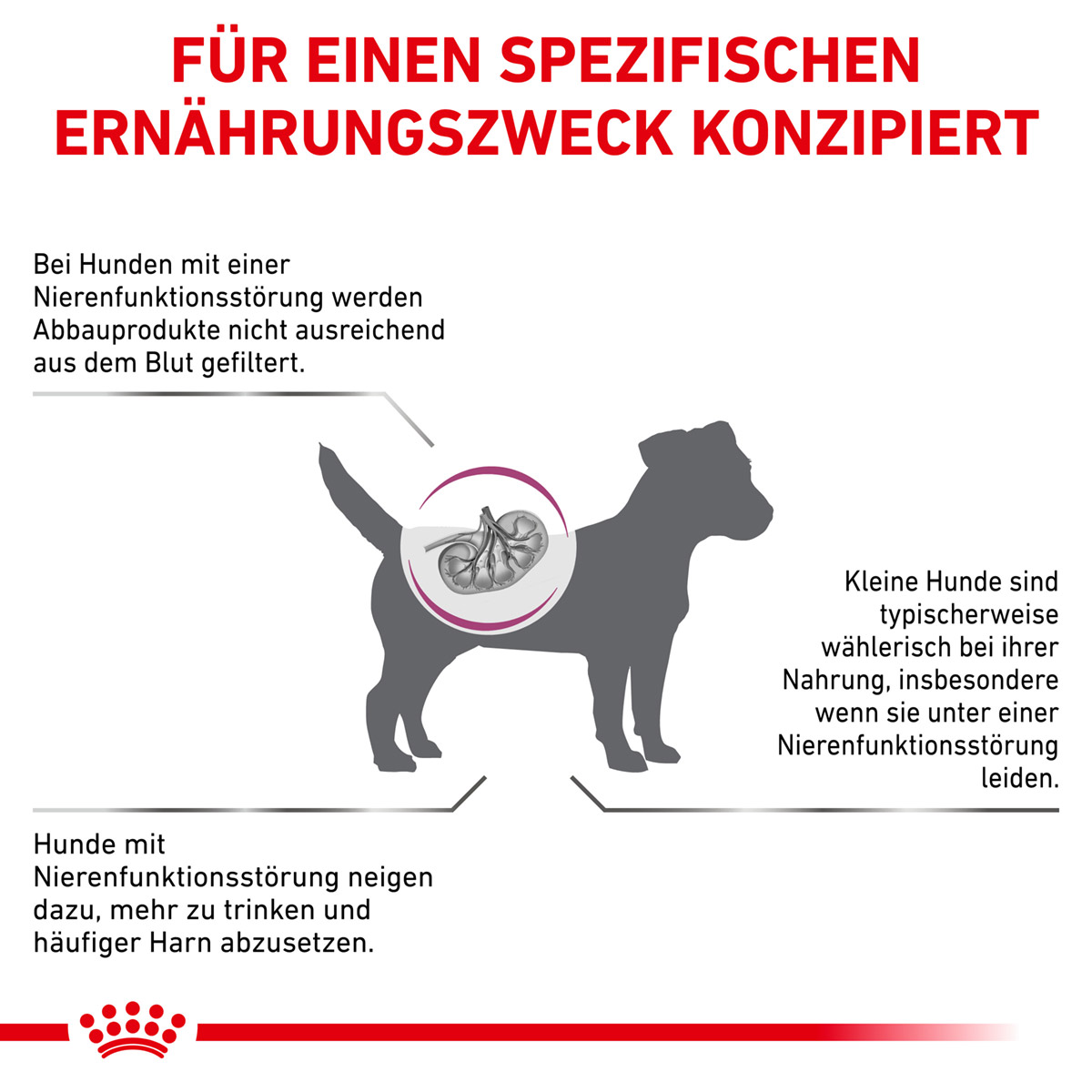 ROYAL CANIN Veterinary RENAL SMALL DOGS Trockenfutter für Hunde