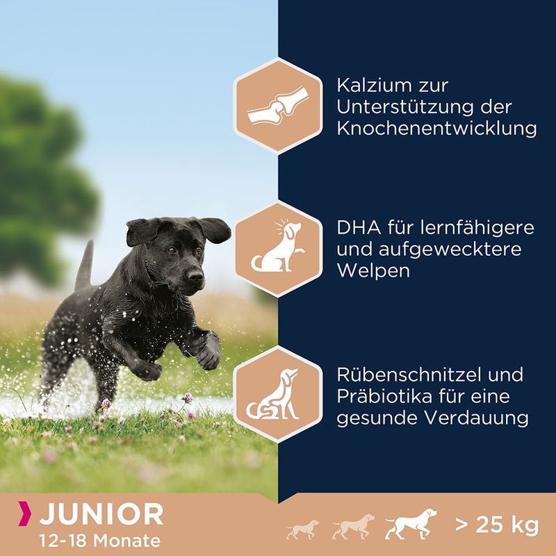Eukanuba Junior Large Breed Huhn