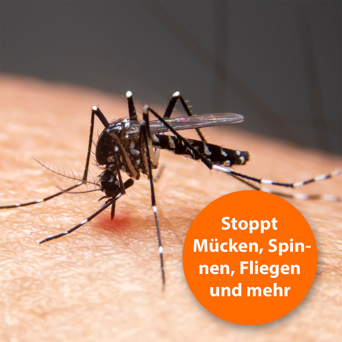 ARDAP Ungezieferspray günstig kaufen bei ZooRoyal