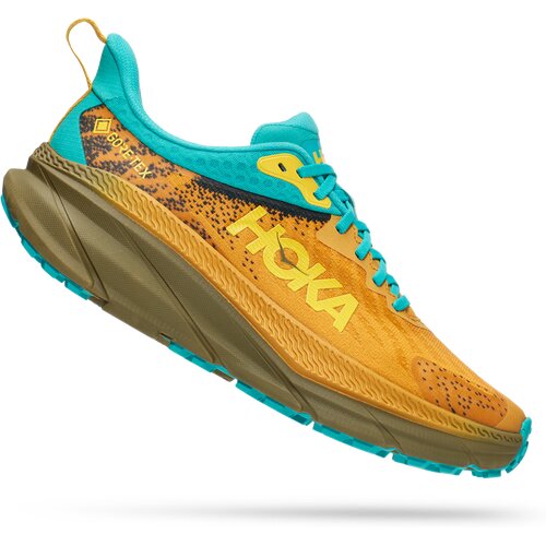 HERREN TRAILRUNNINGSCHUHE M CHALLENGER 7 GTX
