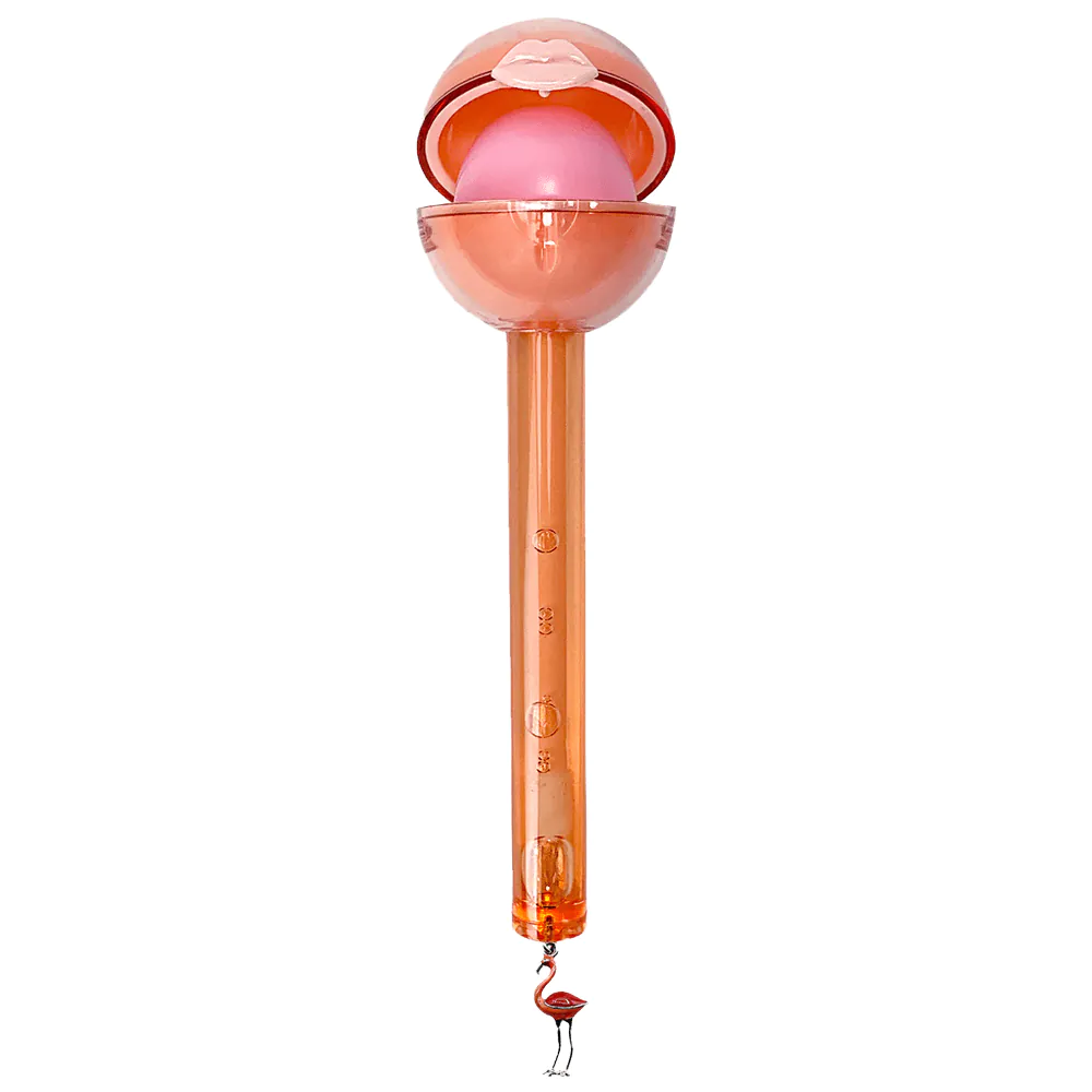 „Glossy Pops I See Flamingo“ lūpų balzamas ir blizgis
