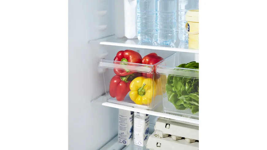 rotho Kühlschrankorganizer quadrartisch 5l Loft