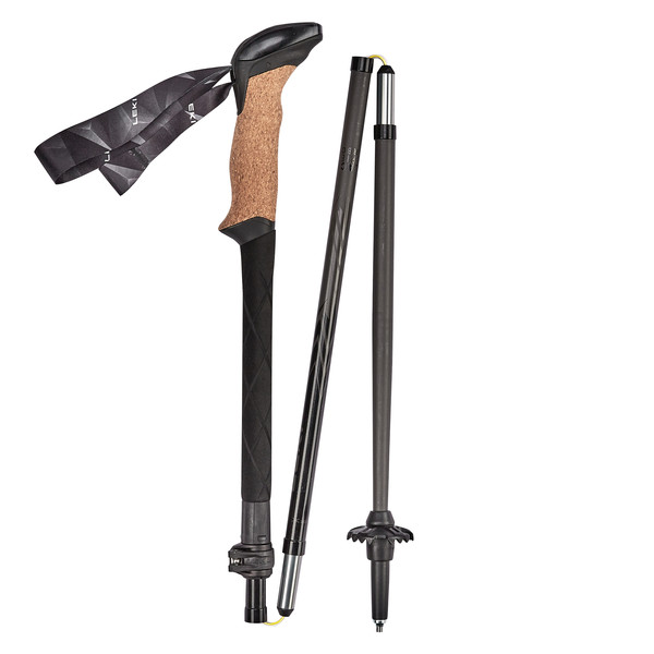 BLACK SERIES FX CARBON Unisex - Trekkingstöcke