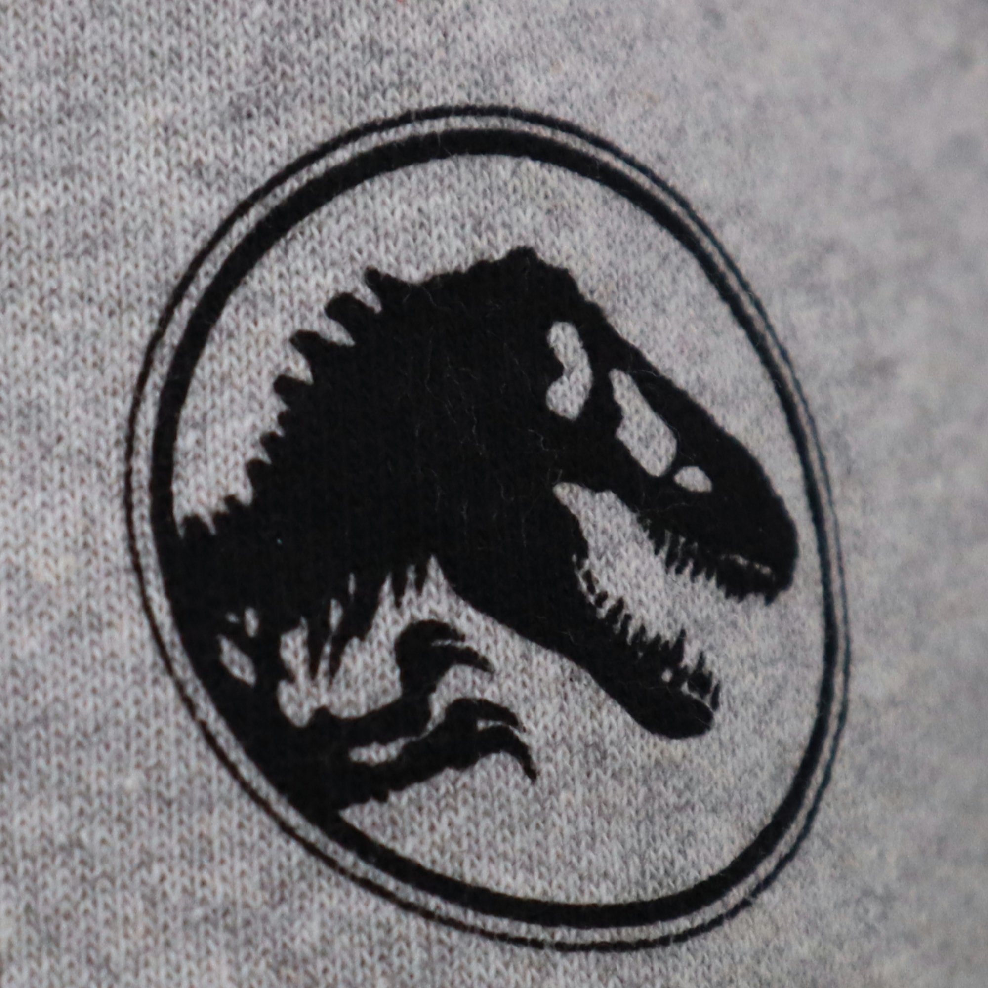 Jurassic World Sweater Jurassic World T-Rex Kinder Jungen Pullover Dino Gr. 116 bis 146, 100% Baumwolle