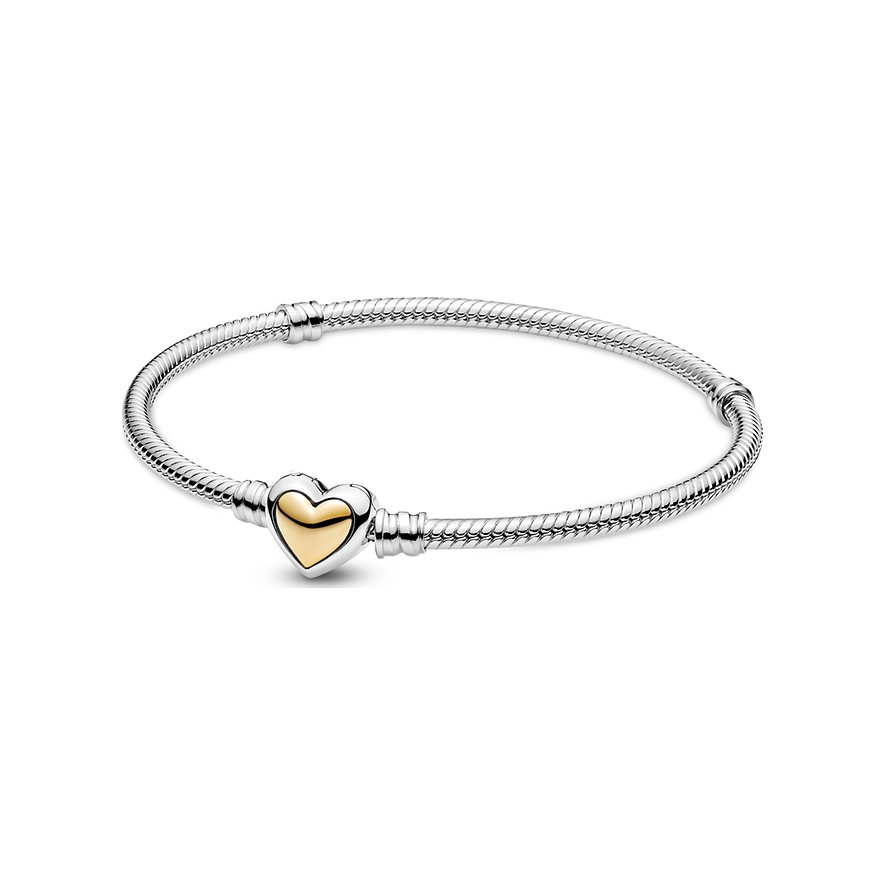Pandora Armband Moments